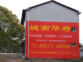 泰兴百分之90的人都不了解的农村墙体广告