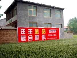 泰兴如何让墙体广告展现最大化效果