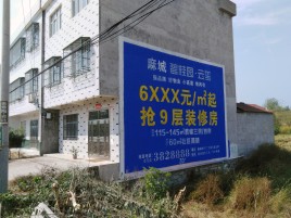 泰兴墙体广告质量分析