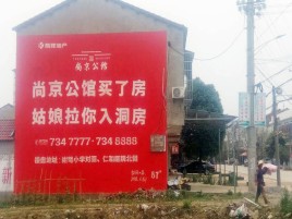 泰兴墙体广告在乡镇、农村市场的媒体优势