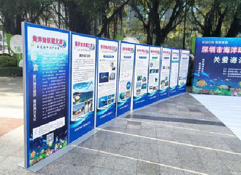 泰兴KT板的种类和知识。